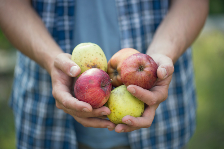 Vente directe de Pommes de terre en ligne 