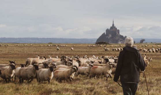 Découvrez nos producteurs